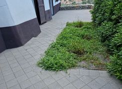 Trilocale in vendita
