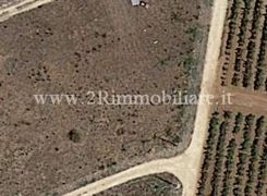 Terreno agricolo in vendita