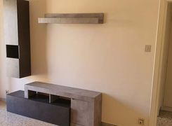 Bilocale in affitto
