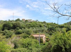 Terreno agricolo in vendita