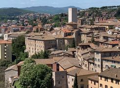 Bilocale in affitto