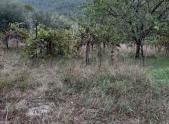 Terreno agricolo in vendita