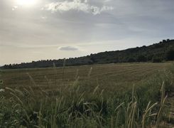 Terreno agricolo in vendita