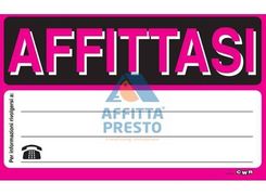 Bilocale in affitto
