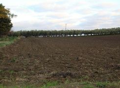 Terreno edificabile in vendita