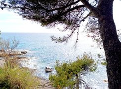 Trilocale in vendita