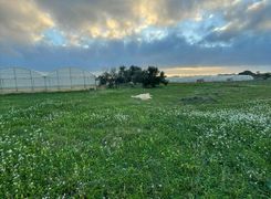 Terreno agricolo in vendita