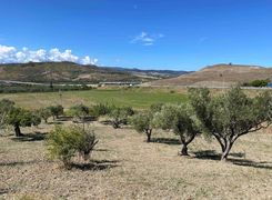 Terreno agricolo in vendita
