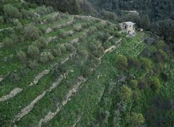 Terreno agricolo in vendita