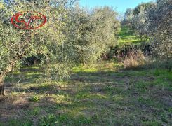 Terreno agricolo in vendita