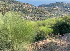 Terreno edificabile in vendita