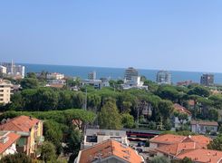 Vista