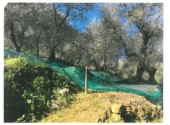 Terreno agricolo in vendita