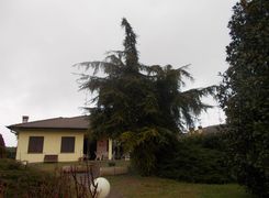Facciata