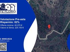Terreno agricolo in vendita