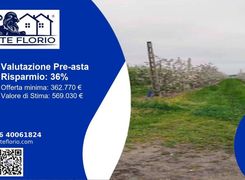 Terreno agricolo in vendita