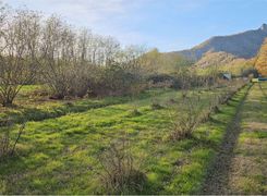 Terreno agricolo in vendita