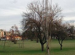 Casa indipendente in vendita