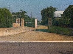 Giardino