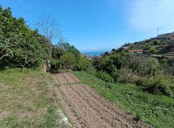 Terreno agricolo in vendita
