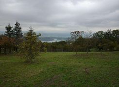 Terreno agricolo in vendita