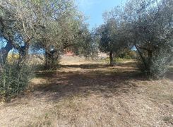 Terreno agricolo in vendita