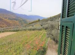 Rustico/Casale in vendita