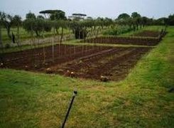 Terreno agricolo in vendita