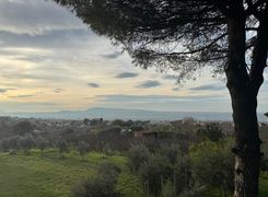 Trilocale in affitto