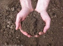 Terreno agricolo in vendita