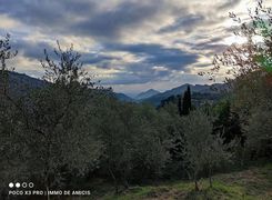 Terreno agricolo in vendita