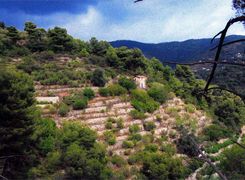 Terreno edificabile in vendita