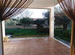 Terrazza