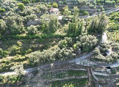Terreno agricolo in vendita
