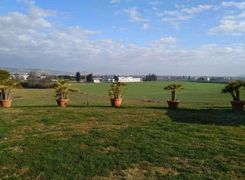 Terreno agricolo in vendita