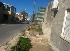 Cantina/Solaio in vendita