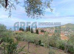Terreno agricolo in vendita