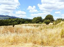 Terreno agricolo in vendita