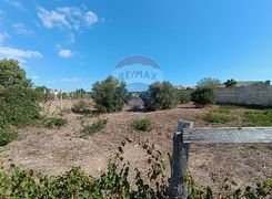 Terreno agricolo in vendita