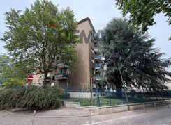 Vista