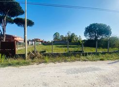 Terreno agricolo in vendita