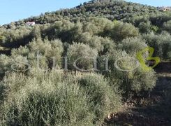 Monolocale in vendita
