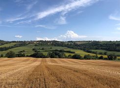 Rustico/Casale in vendita