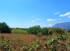 Terreno agricolo in vendita
