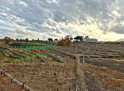 Terreno agricolo in vendita