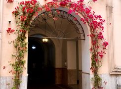 Quadrilocale in affitto