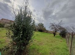 Terreno edificabile in vendita