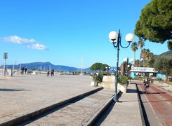Trilocale in affitto
