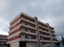 Vista