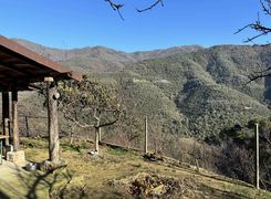 Casa indipendente in vendita